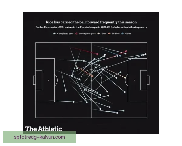 赖斯战术体系适配